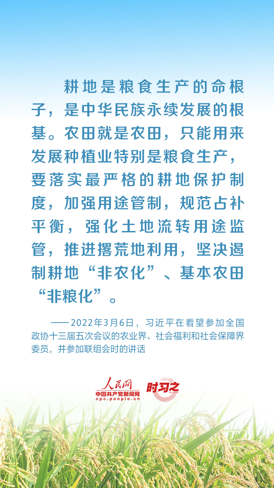 全方位夯实粮食安全根基 习近平强调切实加强耕地保护